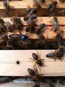 Cette image a un attribut alt vide ; le nom du fichier est img_20210515_152227.jpg